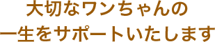 センチュリーペット羽曳野店